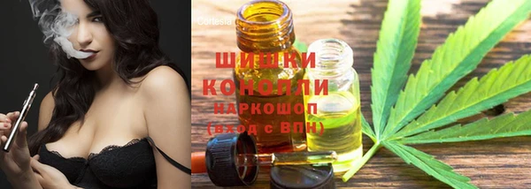 мдпв Дмитров