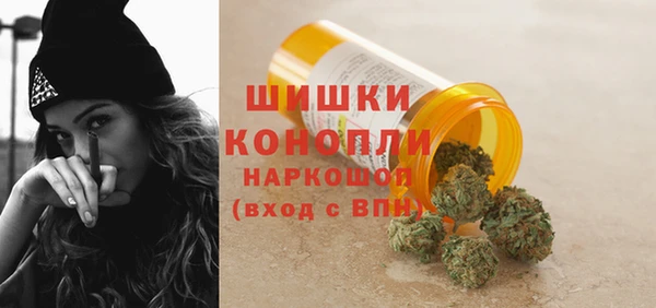 прущая мука Дмитриев