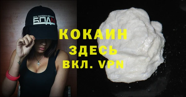 мдпв Дмитров