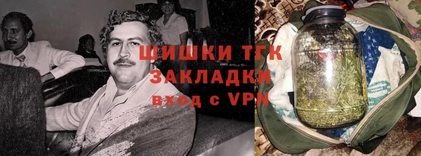 мдпв Дмитров