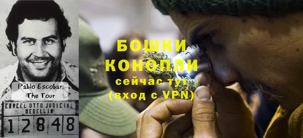 мдпв Дмитров
